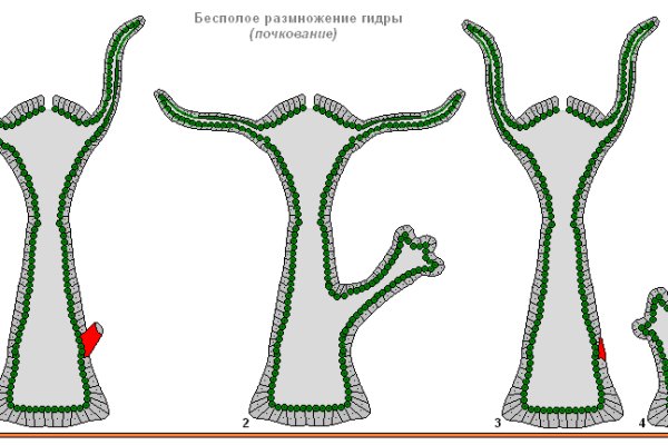 Не заходит на кракен