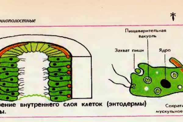 Сайт кракен россия